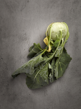 2020_06_19_Kolrabi5622 Kopie.jpg